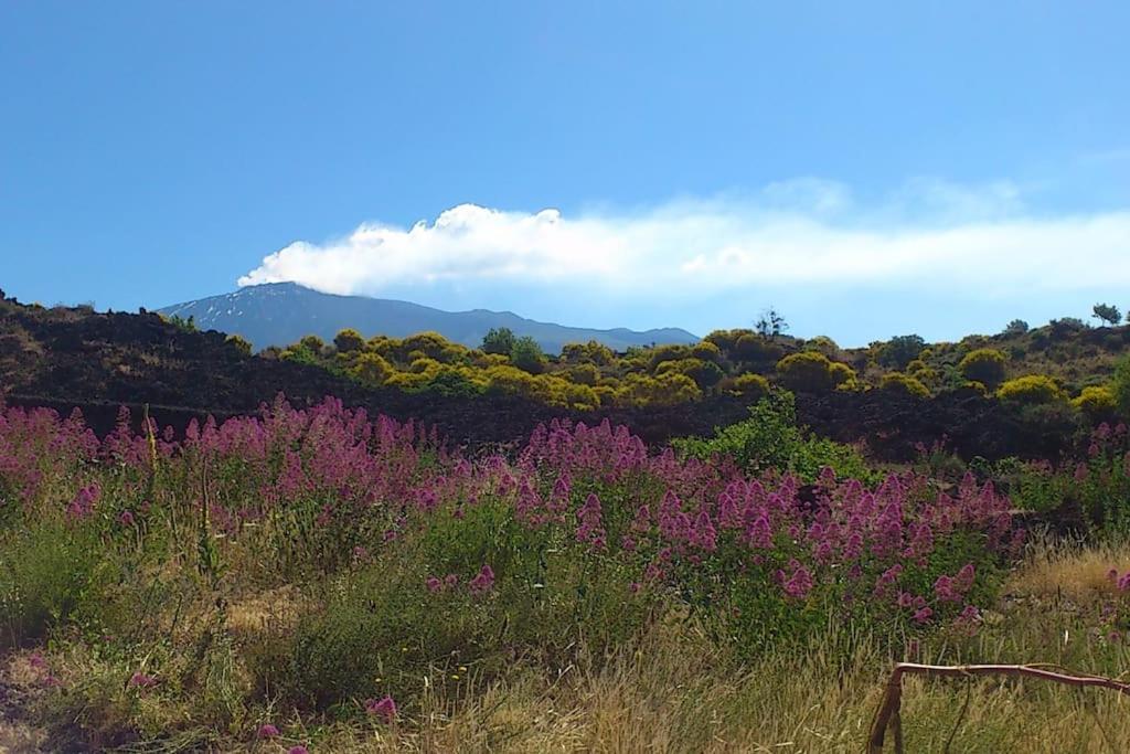 Apartament Odeonhouse - Catania - Parking Included Zewnętrze zdjęcie